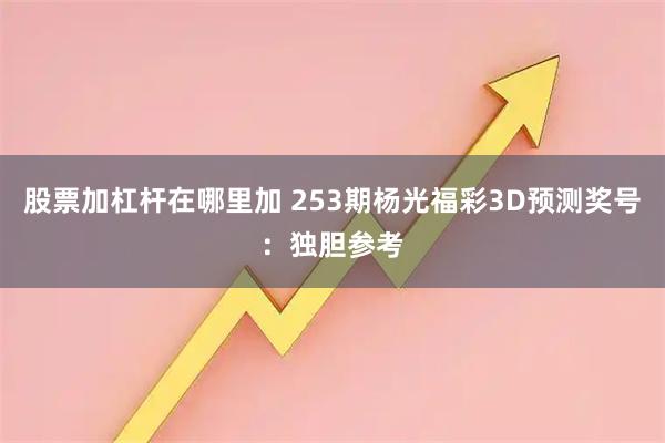 股票加杠杆在哪里加 253期杨光福彩3D预测奖号：独胆参考